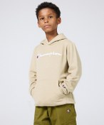 Resim Champion Icons Hooded Sweatshirt 