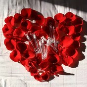 Resim Düğün Balonu Değnekleri Boş Şişeler 