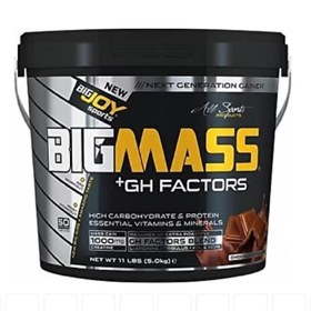 Resim BigJoy Sports Bigmass +GH Factors Çikolata 5 kg 