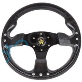 Resim ŞIK Spor Direksiyon Karbon 