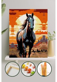 Resim Sayılarla Boyama Tuval Seti 40x50 Cm - Siyah İnci 
