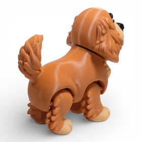 Resim Cocker Spaniel Köpek 