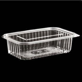 Resim Plastik Saklama Kabı 750 G 100 Adet Kapaklı Sızdırmaz Kap 