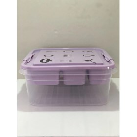 Resim Lowell Home Ieg Takı Dikiş Kutusu Saklama Kabı Hobi Kutusu LWLRSY-435RSIEG 