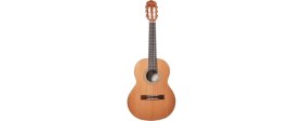 Resim Gitar Klasik 3/4 Rodriguez Gül (RC534MN) 