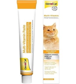 Resim Gimcat Multivitamin Paste Kedi Macunu 2 x 100 G 