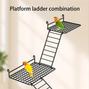 Resim Çeşitli Modellerde Tırmanma Çerçevesi ile Basit Metal Kuş Merdiveni, Dayanıklı Demir Alaşımlı - Aviary Kullanımı için İdeal 