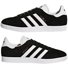 Resim Gazelle | ERKEK | BB5476-001 