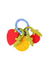 Resim Babyzz 30302 Meyve Diş Kaşıyıcı 0+ Ay Çok Renkli 