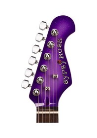 Resim Valencia Gypsy Rose Gre1kcpp Elektro Gitar Seti Mor - Tek Manyetik Basitleştirilmiş - Simli Mor - Yeni Başlayanlara 