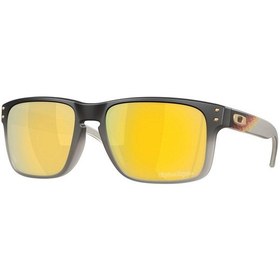 Resim Oakley Holbrook Unisex Gözlük 0oo9102-oak.ah 