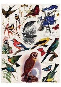 Resim Cadence Pirinç Dekopaj Kağıdı Model 48 