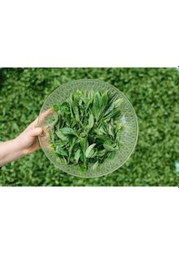 Resim 3'lü Set El Yapımı Yeşil Çay 3 50 G 