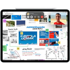 Resim Apple Pencil Pro Mx2d3ze/a 