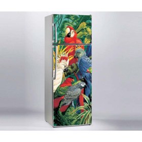 Resim 444magaza Buzdolabı Sticker Papağanlar 