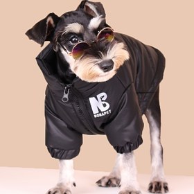 Resim Kış Sıcak Evcil Hayvan Kıyafetleri, Fermuarlı Yansıtıcı Harf Grafikli Köpek Ceketi, Soğuk Mevsimler İçin Kalın Dolgulu Köpek Montu Noel Hediyesi 