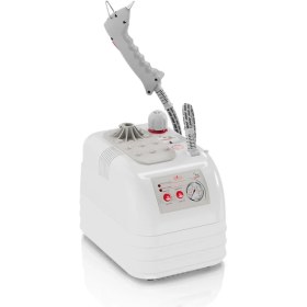 Resim Silter Goldental Buharlı Temizleme Robotu 3,5 Litre Gld/mn 2036 