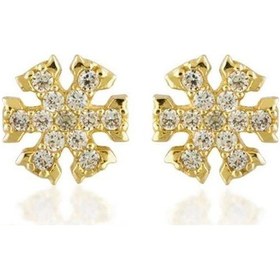 Resim Sembol Gold Kartanesi Altın Küpe Taşlı 