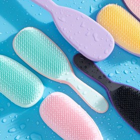 Resim 1 adet Çift Renkli Dolaşık Saç Fırçası, Kadınlar için Saç Derisi Masajı Tarak, ABS Plastik Sap, Plastik Taran, Normal Saç Tipi Bitirme Fırçası, Düz Dolaşık Saçlar - Kolay Temizlik için Çıkarılabilir 