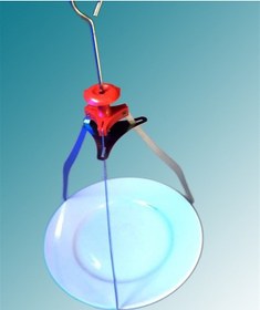 Resim River World Dekoratif Metal Tabak Servis Sunum Aparatı Estetik T 