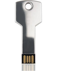 Resim Metal Anahtar Şekli Usb 2.0 Flash Sürücüler Kalem Sürücüler Su Geçirmez Bellek Deep Silver 4gb Diğer 