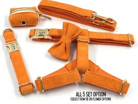 Resim Dog Collar Named Orange Velvet Collar 541506 - 5pcs set / XS 