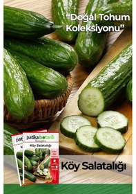 Resim 120 Adet Yerli Ata Karışık Köy Salatalığı Tohumu 