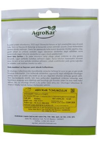 Resim Yeşil Soğan Tohumu 10 Gr 1 Paket 