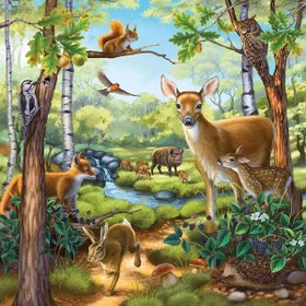 Resim Ravensburger 3x49 Parça Puzzle Kır Evi ve Hayvanlar 092659 