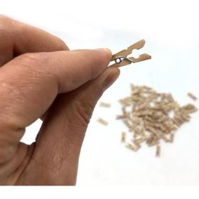 Resim Küçük Ahşap Mini Mandal Fotoğraf Not Tutucu Mandal 10 Adet - 