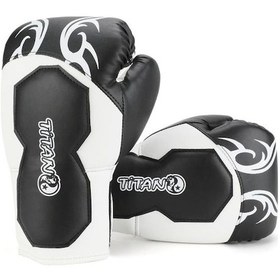 Resim Titan Sport Siyah Beyaz İşlemeli Boks Eldiveni Çok Renkli 
