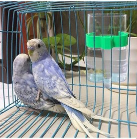 Resim Kangvka Kuş Otomatik Su Ve Yemleme Seti 220ml - Plastik, Şeffaf, Dayanıklı - Orta Küçük Kuşlar İçin Papagan, Kanarya 