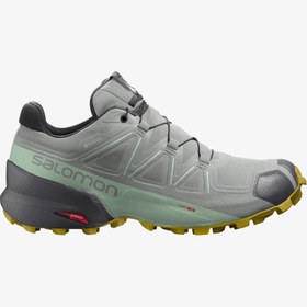 Resim Salomon Speedcross 5 Gtx W Kadın Gri Outdoor Ayakkabı 