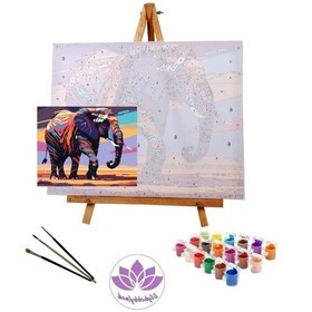 Resim Renkli Sayılarla Boyama Hobi Seti - 50x65 Cm 