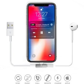 Resim Dark Iphone Uyumlu Lightning Çoklayıcı Dk-Ac-Cpıx2 