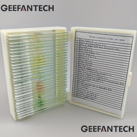 Resim GEEFANTECH 30 adet Hazır Slayt Seti - Mikroskopi için Çeşitli Biyolojik Örnekler, Bitki, Hücre ve Hematoloji Çalışmaları için İdeal, Eğitici ve Araştırma Kullanımı, Biyolojik Çalışma Setleri | Çeşitli Biyolojik Örnekler | Cam Slaytlar, Biyolojik Mikroskopi 