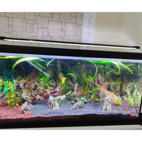 Resim Shark 43 Cm (50-55 CM UYUMLU) Fullspectrum 4 Renk Armatür 3 Sıra Osram Marka Ledli 1980 Lümen 