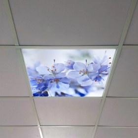 Resim Gök Panel 60X60 LED Panel Aydınlatma Armatür Avize Sıva Altı Desenli Tekli 46510252SA 