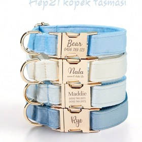 Resim Dog Collar Named Sky Blue Velvet Collar 595658 - 4pcs set / M 