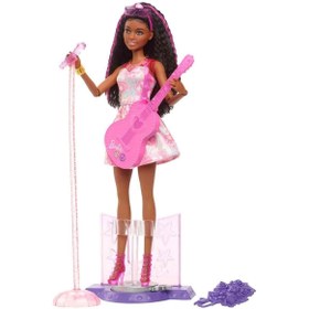 Resim Barbie 65.Yıl Deluxe Bebekleri HRG41 
