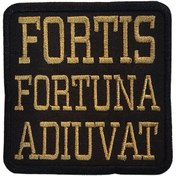 Resim ISG Airsoft ROMA DEYİMİ PATCH - ŞANS RENKLİ 