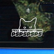 Resim Komik PSP/PSPP Kedi Meme Vinil - Parlak (PS1/PS2/N64/GBA/PSP/NDS) Retro Oyun Çıkartması - Araba/Motosiklet ve Yüzeyler İçin - PSP Taşınabilir Konsol ile Uyumlu 