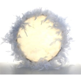 Resim Perrla Shop Süslü Gelin Beyaz Tüylü Deri Def 27 Cm Süslü Gelin Beyaz Tüylü Deri Def 27 Cm 