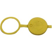 Resim Master 3 Cam Su Fiskiye Depo Kapağı 8200653879 