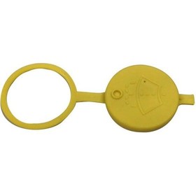 Resim Master 3 Cam Su Fiskiye Depo Kapağı 8200653879 