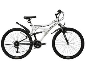 Resim Bisan MTS 4300 24 