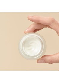 Resim Yves Rocher Kuru Ciltler İçin Global Gündüz Kremi 50 ML 