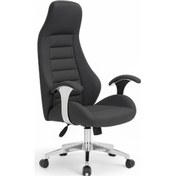 Resim Delta Antrasit Makam Koltuğu Ofis Koltuğu Büro Koltuğu Çalışma Koltuğu Antrasit 