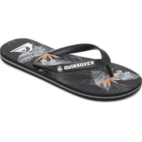 Resim Quiksilver Molokai Everyday Paradise Erkek Sandalet AQYL101188 