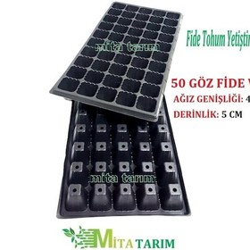 Resim Fide Viyolü, 7 Adet, 50 Gözlü, Fide Viyol, Fidelik, Fide (394042665) 